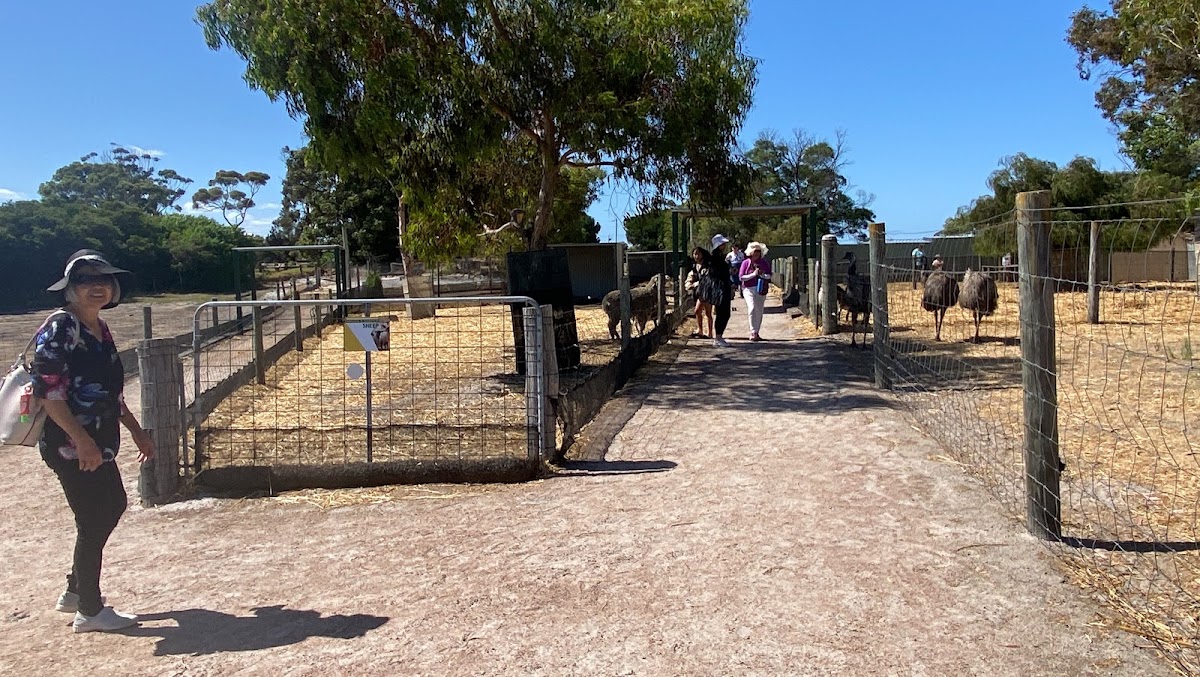Esperance Bird & Animal Park Café Photo 3