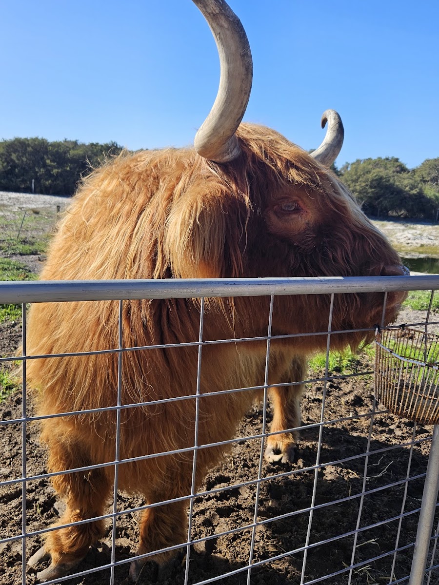 Esperance Bird & Animal Park Café Photo 4